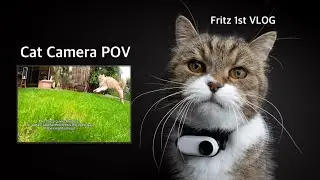Cat with Camera | Fritz' first VLOG