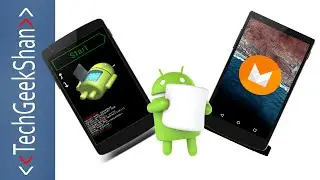 Flash Android Official OS in Nexus 5[Step by Step]