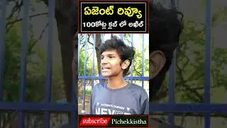 Agent Movie Review | Agent Movie Public Talk | Akhil Akkineni | Sakshi Vaidya | @Hellotvbrand