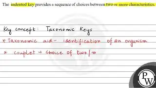The indented key provides a sequence of choices between two or more...
