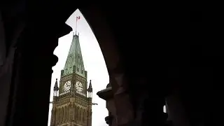 Playing the Peace Tower bells 'uses all four limbs independently of each other'