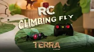 Go up the Walls with the RC Green Climbing Fly | Terra by Battat
