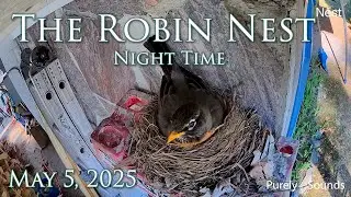 Watch the Robin Family Live &ndash; Mother's Duty (May 5, 2025 - Night)
