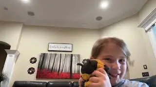 My Giant Jellycat collection 