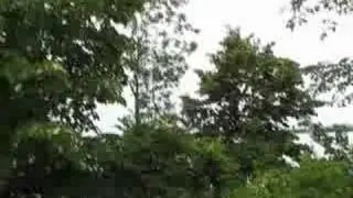 Airplane low pass