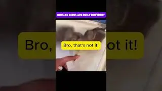 Russian birds are just different!🤣 Watch till the end! #shorts