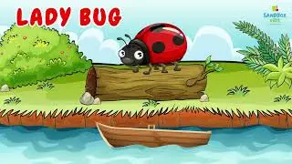 Exploring the Tiny World: Baby's First Adventure with Cute Insects | Educational Baby Video