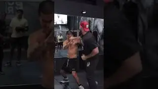 Bradley Martyn BEATS Sneako In Boxing😳