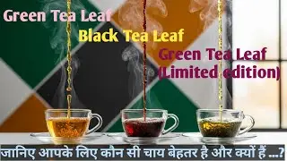 Green Tea Leaf vs Black Tea Leaf vs Green Tea Wonder Limited Edition | कौन सी चाय सबसे बेहतर? #tea