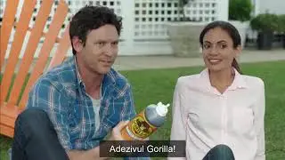 Adezivi Gorilla Glue - adezivul numarul 1 in lume