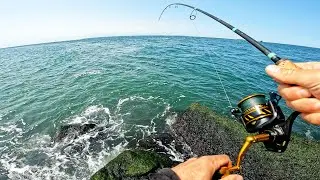 Jetty Bluefish Catch and Cook with Sunrise Bass