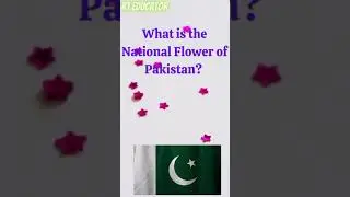 National Flower of Pakistan । General Knowledge of Question and Answer । Gk Question ।#shorts