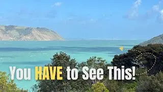 You HAVE to See This! &ndash; Huia Lookout, Auckland&rsquo;s Hidden Gem 🌿🌊