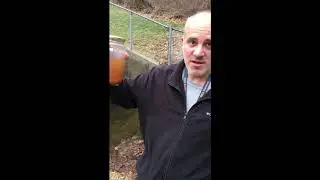 SCI 107 Water Ecology Lab instructions