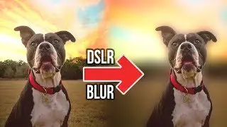 How to Create DSLR Style Blurred Background Photos on Android Smartphone