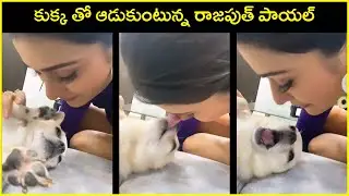 Cute Video : Payal Rajput Playing With Her Pet Dog |  Actress Payal Rajput | Rajshri Telugu