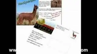 Marketing Ideas - Postcards