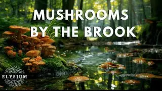 Mystical Forest! Peaceful Bubbling Brook with Mushrooms 🌿🍄 / Relaxing Nature Sounds