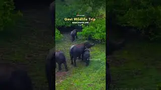 Tired of crowded tourist spots?Escape to Gavi Kerala&rsquo;s hidden gem for a magical getaway DM us 🎟️