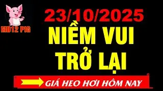Gi&aacute; heo hơi h&ocirc;m nay 23/10/2025 | NIỀM VUI TRỞ LẠI | md12pig #giaheohoihomnay #giaheohoi