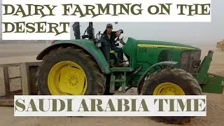 My Saudi Experienced In Handling Different  Cow's Job, Year 2007 To 2012.