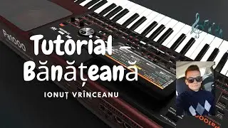 Tutorial - Bănățeană (Bădiță când te-ntâlnesc)