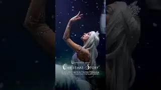 Exciting Circus Show 