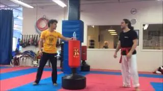 Taekwondo precision kicks - Anthony Homsi