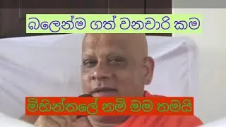 කවුද මේ මිහින්තලේ වනචාරියා 
