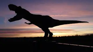T-Rex at Sunset - Toy Photography