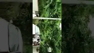 vd satheshan 😍😍😍 udf, iyc, ksu