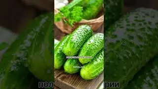 Чем полезен огурец для организма?