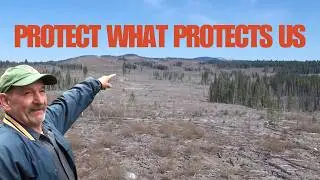 The New Forest Act for BC Is Gaining Ground - 5 MLAs Just Heard Us