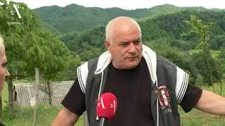 Psi lutalice zaklali ovce Teslic