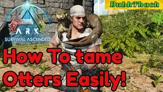 Taming Otters Guide - Ark Survival Ascended