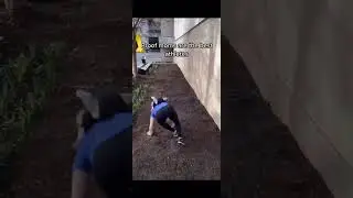 CS2 &ndash; 16 Years Later&hellip; Grenade Fail 😂 #cs2 #csgo