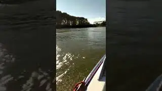 Rhein bei Germersheim / Fiberline G10 Kleinboot mit Kiekhaefer Merc500 Mercury 50PS Bj62 62 km/h