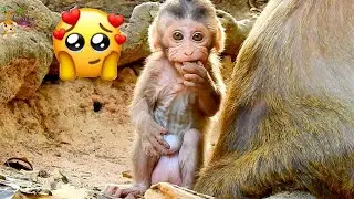Happy day baby Bobby happy stay near mom Brinn look so adore, Bobby look so cute