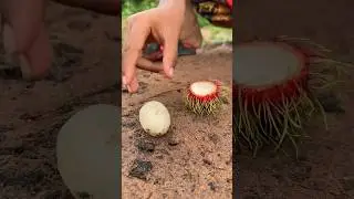 Навыки выживания: умная идея и полезная в лесу 🤪😱 #бушкрафт #кемпинг #наприроде #выживание