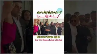 Imran Khan's sister got egged at press conference🥚😡 #imrankhan #viral #shorts #short