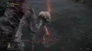 Elden Ring DLC: Death Rite Bird No Scadutree and Damage, patch 1.12.1 Boss Fight (4K 60fps HDR)