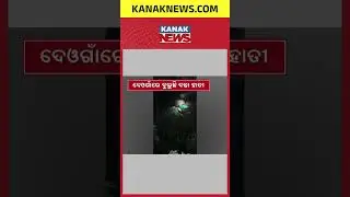 Wild Elephant Spotted Roaming Deogaon, Sambalpur: Locals Witness Night Visit
