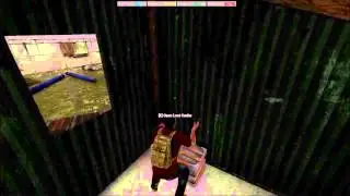 H1Z1 - Worn Letter Bug