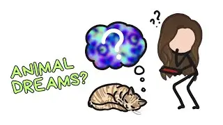 Do Animals Dream? | Science Minute