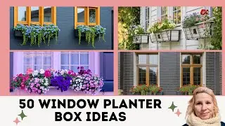BEST IDEA EVER to enhance your home street appeal | Window Planter Boxes