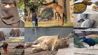 Lahore zoo transformation 2025 | european style zoo in Pakistan|