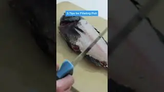 3 beginner fish filleting tips