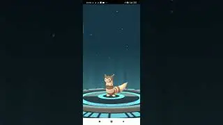 Evolution of sentret into furret