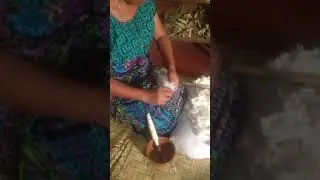Spinning local organic cotton by hand