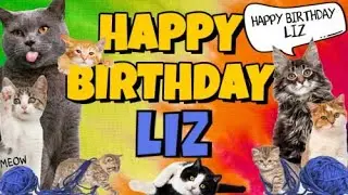 Happy Birthday Liz! Crazy Cats Say Happy Birthday Liz (Very Funny)